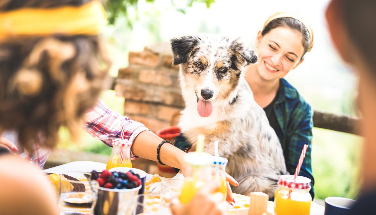 Happy friends on healthy pic nic breakfast at countryside farm house - Young people millennials with cute dog having fun together outdoors at garden party - Food and beverage lifestyle concept